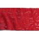 DENTELLE STRETCH ROUGE